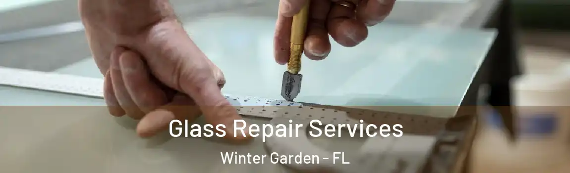  Glass Repair Services Winter Garden - FL