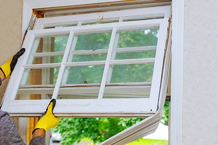 Window Replacement in Winter Garden, FL